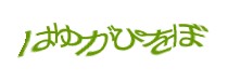 認証画像